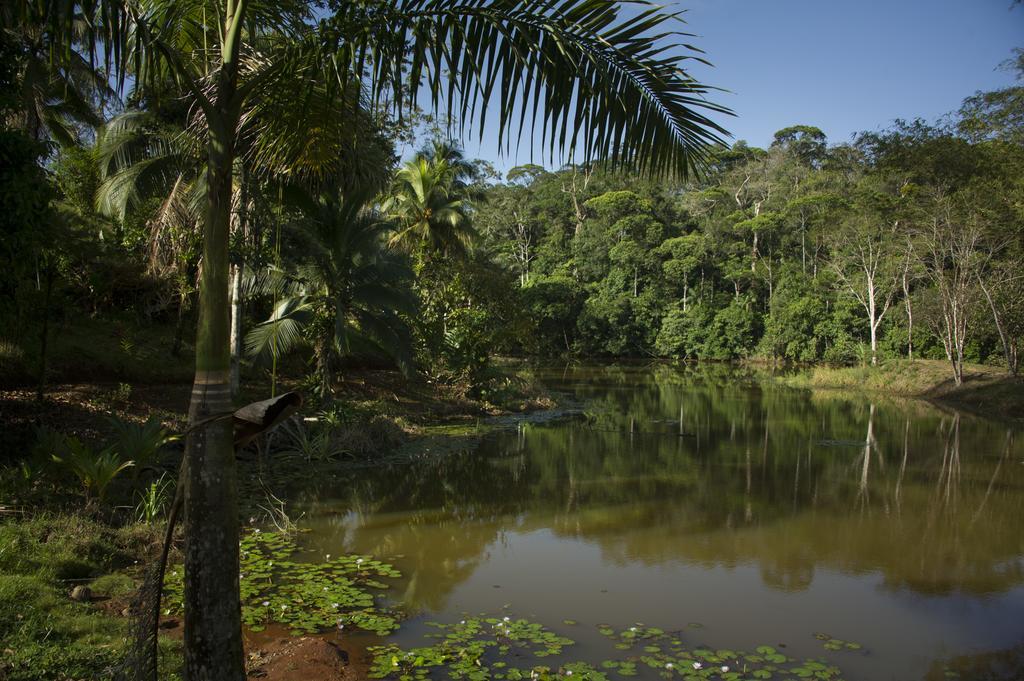La Laguna Del Lagarto Eco-Lodge Pital  Экстерьер фото