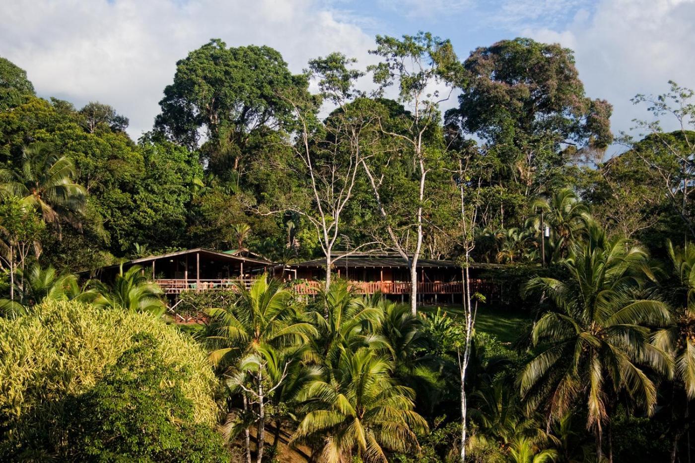 La Laguna Del Lagarto Eco-Lodge Pital  Экстерьер фото
