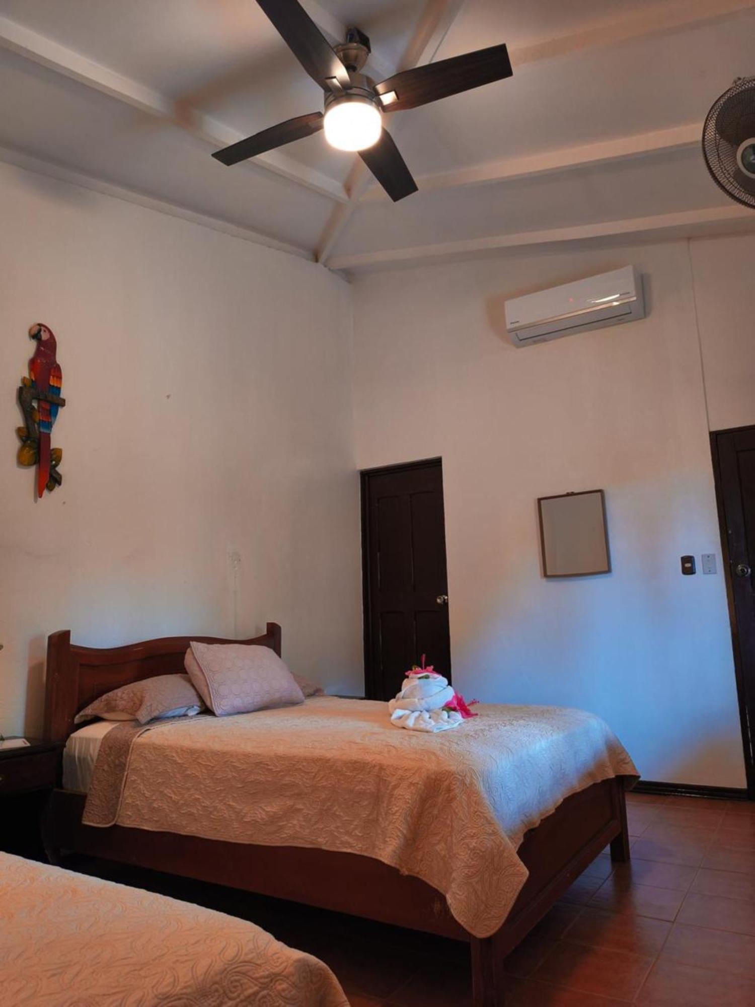 La Laguna Del Lagarto Eco-Lodge Pital  Экстерьер фото
