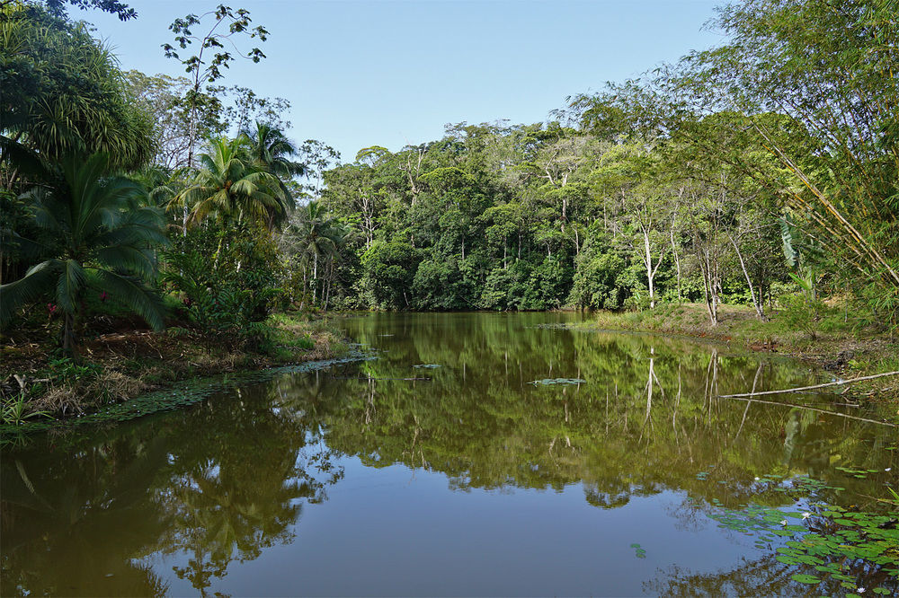 La Laguna Del Lagarto Eco-Lodge Pital  Экстерьер фото