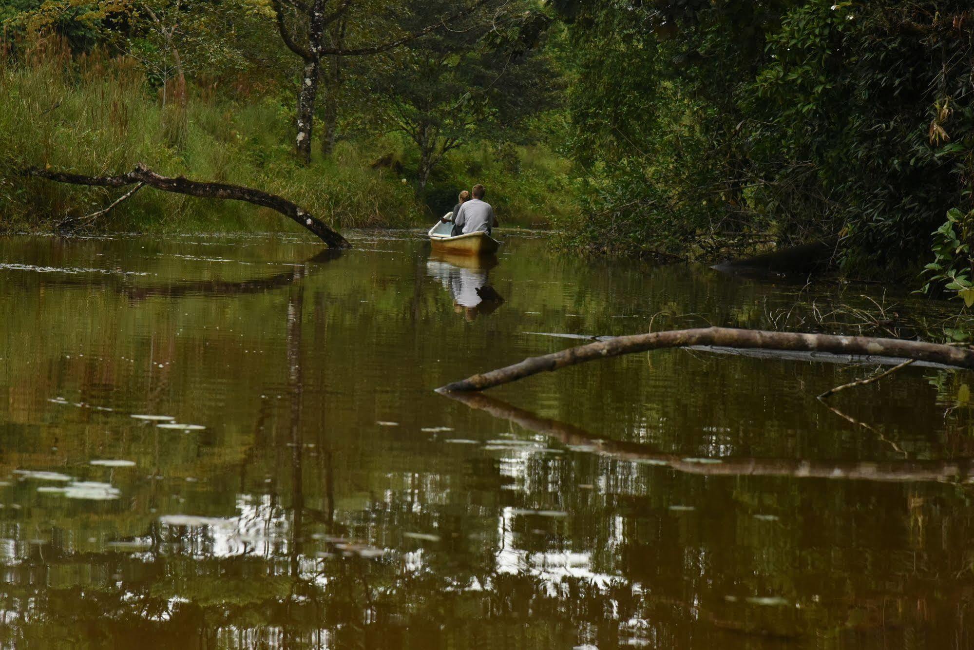 La Laguna Del Lagarto Eco-Lodge Pital  Экстерьер фото