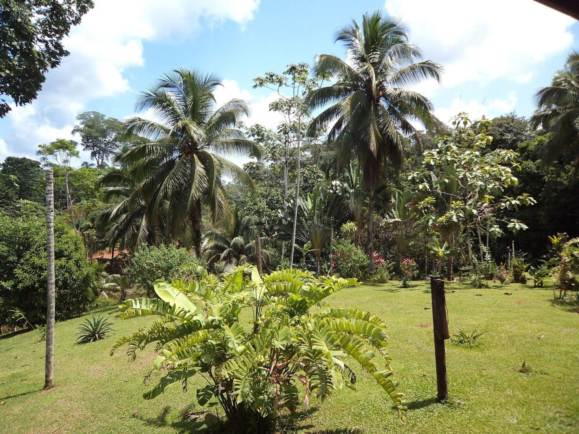 La Laguna Del Lagarto Eco-Lodge Pital  Экстерьер фото
