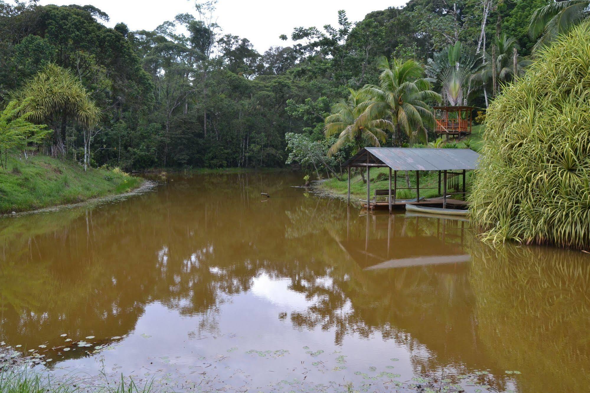 La Laguna Del Lagarto Eco-Lodge Pital  Экстерьер фото