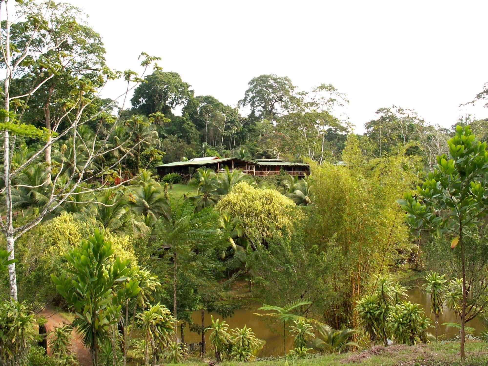 La Laguna Del Lagarto Eco-Lodge Pital  Экстерьер фото