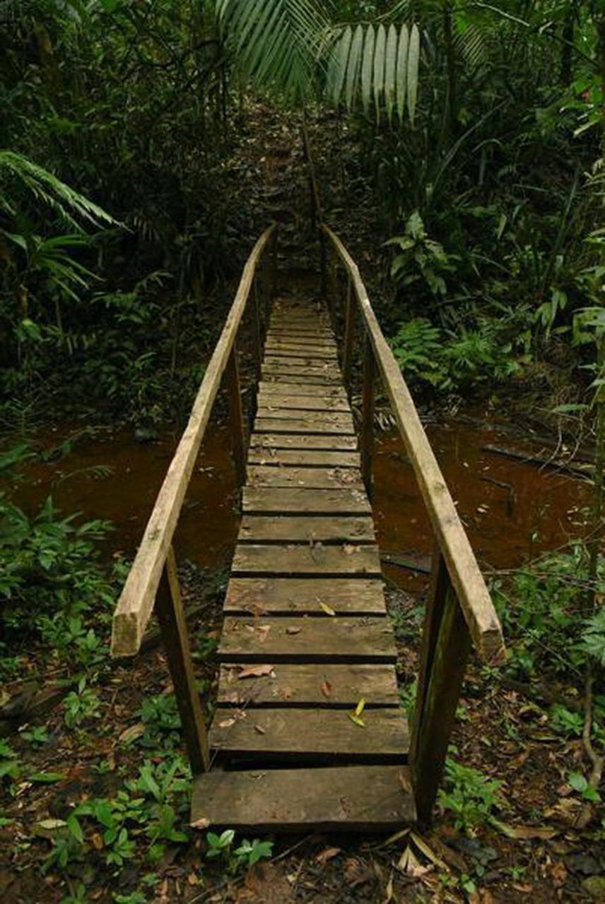 La Laguna Del Lagarto Eco-Lodge Pital  Экстерьер фото