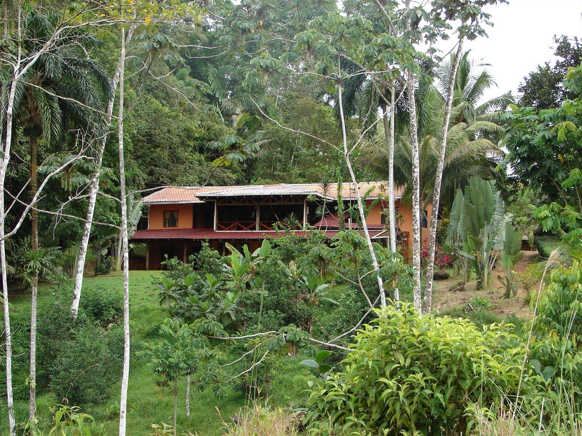 La Laguna Del Lagarto Eco-Lodge Pital  Экстерьер фото
